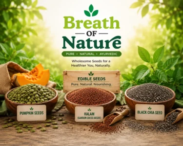Health Benefits of Edible Seeds You Should Include in Your Daily Diet