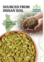 Pumpkin Seeds / कद्दू के बीज - Image 3