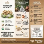 Ashwagandha Powder / अश्वगंधा पाउडर - Image 6
